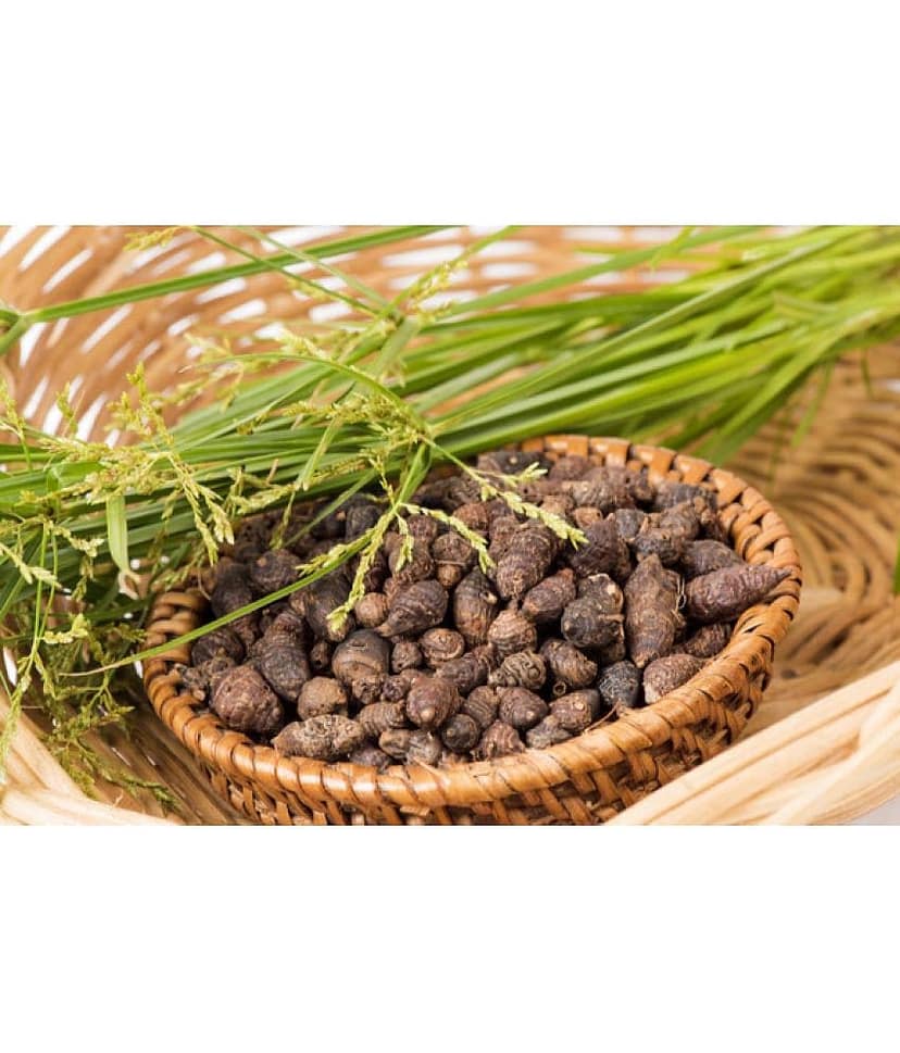 MYGODGIFT Nut Grass - Mustak - Nagarmotha 200 gm view 3