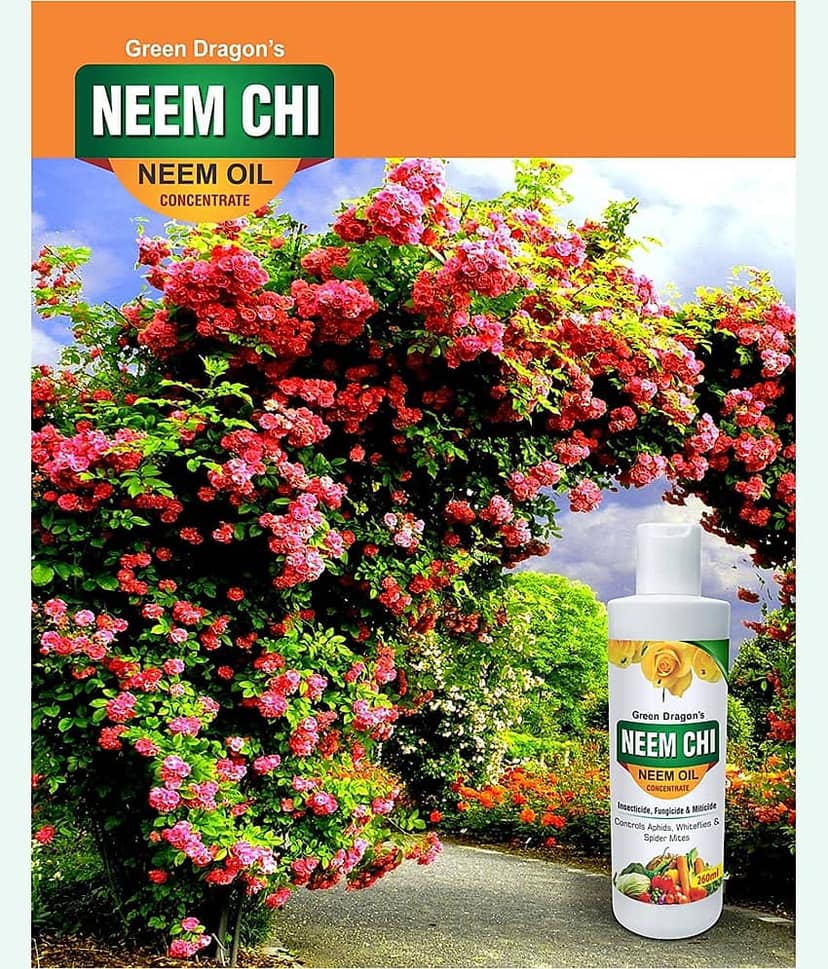 Green Dragon NEEM CHI Organic Plant All Insect Spray and Diseases-Makes 50 Ltr RTS view 5