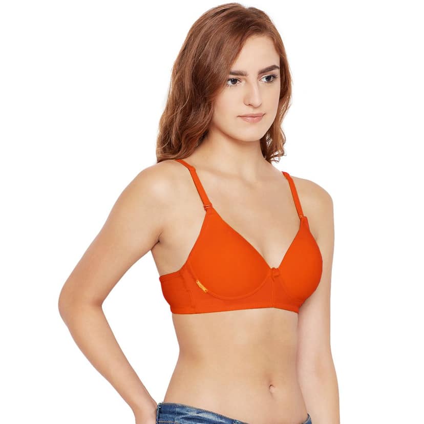 Bodycare Cotton Spandex Padded Non wired Tshirt Bra-Pack of 3 view 5