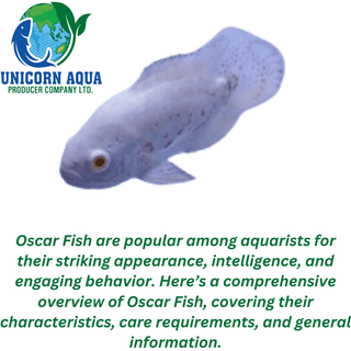 Oscar Fish