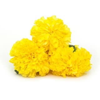 Yellow Marigold 1 Kg