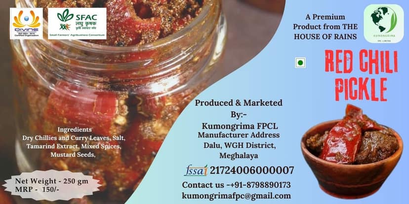 Red Chilli & Jackfruit Pickle view 2