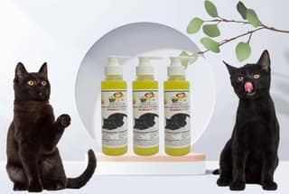 SWACCH Premium Shampoo for Bombay CAT (200ML) (Pack of 3) Lemon
