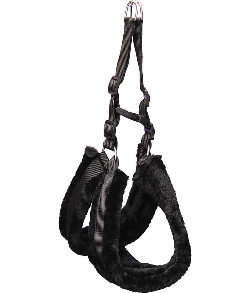 Petshop7 - Black Dog Collar (Medium) view 5