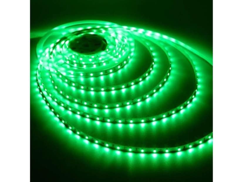 IMAGO 290 LEDs 4 m Green Rice Lights (Pack of 1) view 2