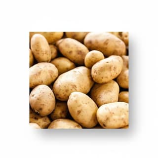 Fresh Potatoes - 20 kg - One bag of potatoes
