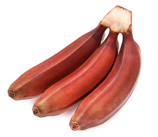 Banana - Red 12 pcs