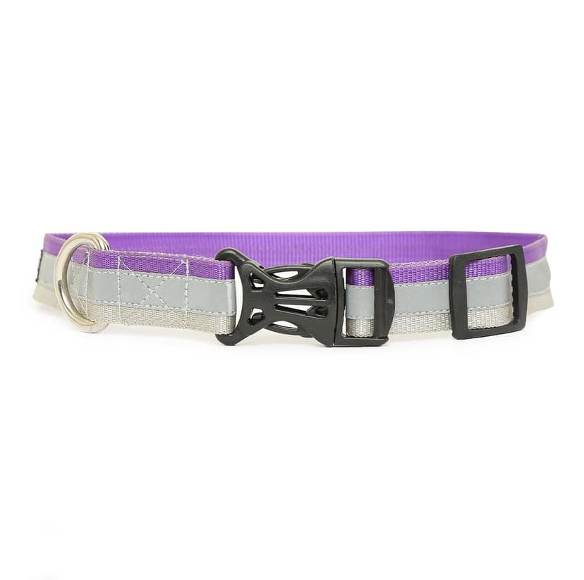FASHION TRENDY REFLECTING DOG COLLAR (Multicolor) SET OF 5 view 2