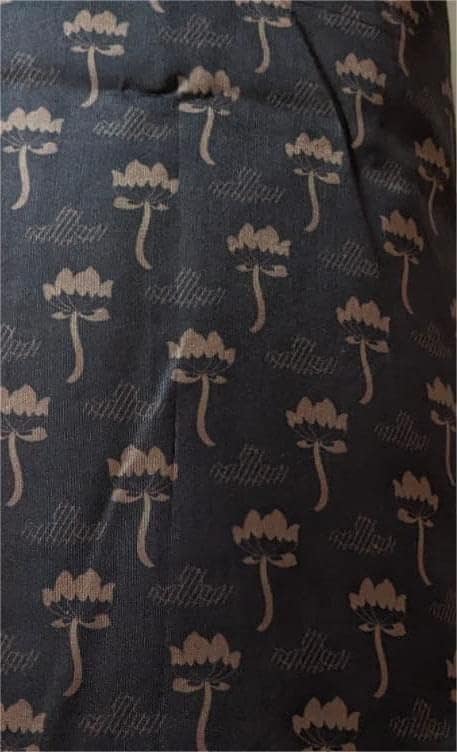 Gadwal Pattu Saree view 4
