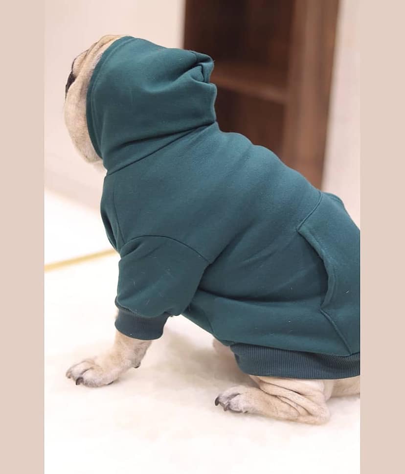 Baeship Studio Black Cotton Dog Large Jacket view 3