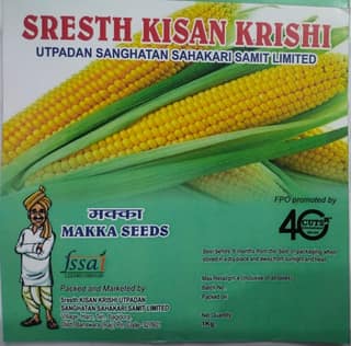 Sweet Corn | 1 PC