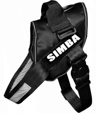 Petshop7 Black Harness ( Large )