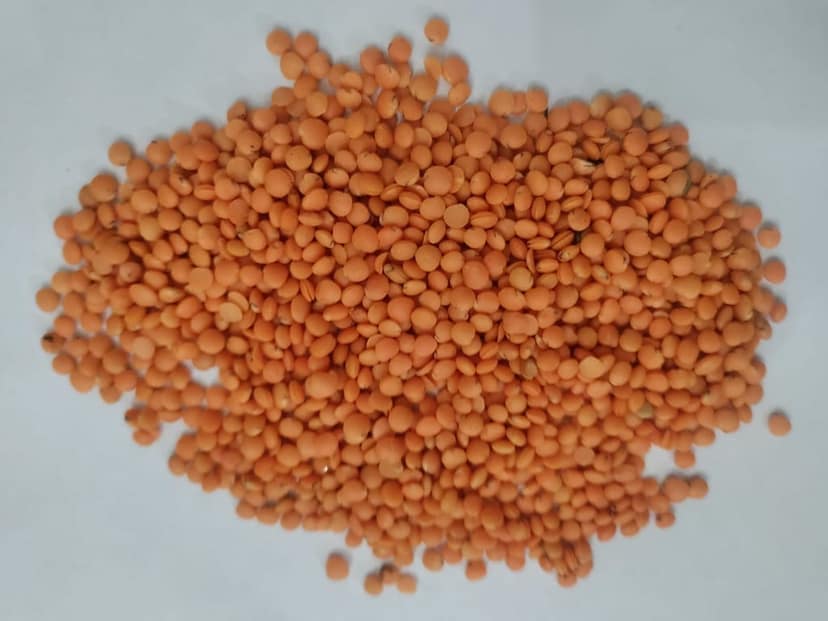 Unpolished Masoor Daal 1Kg view 3