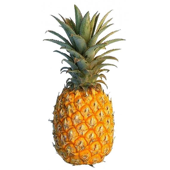 Pineapple - Cut 1 Pc