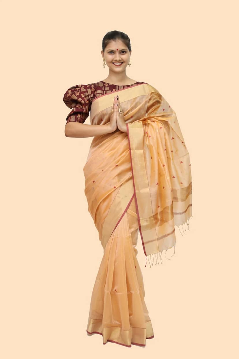 Heavenly Beige Zari Borcade handloom Saree with Tassels view 3