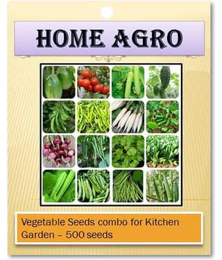 HN organic seed - Vegetable Seeds ( 500 )