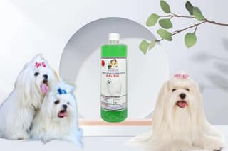 Swacch Shampoo Specially Formulated for Maltese (1 Litre) Neem Alovera