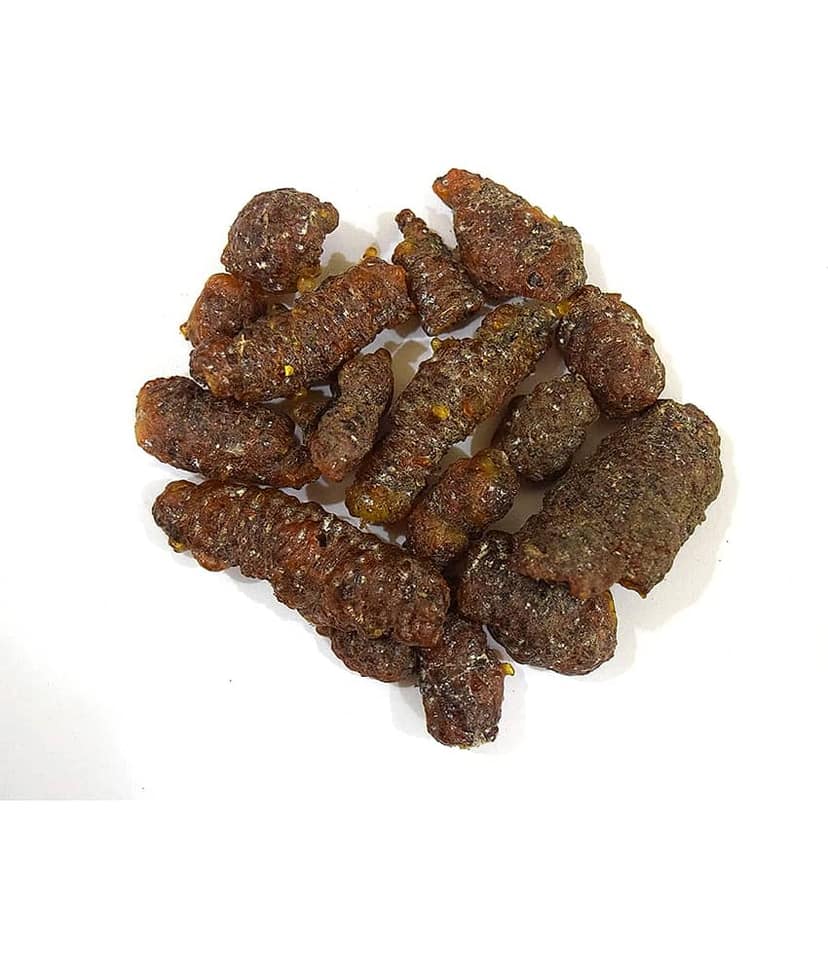 Nutrixia Food Lakh Kachli (Pipals) - Lakh Pipal - Lakh Peepal - Ficus religiosa 50 gm