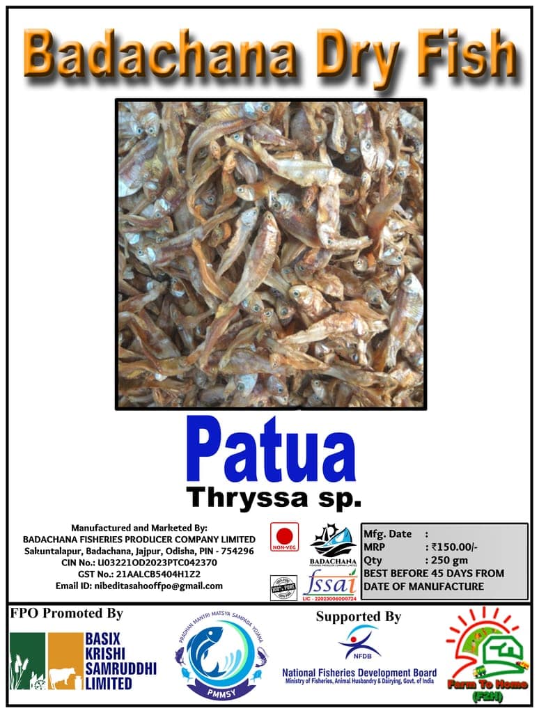 Patua | Thryssa sp. | Badachana Dry Fish | 250gm view 3
