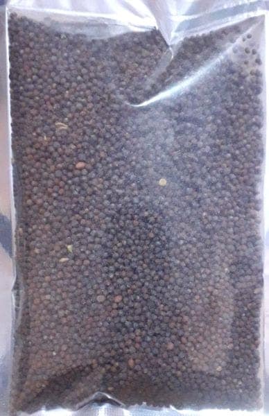 Black Mustard Seeds view 3