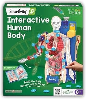Smartivity Interactive Human Body Model for Kids 8-14 Years