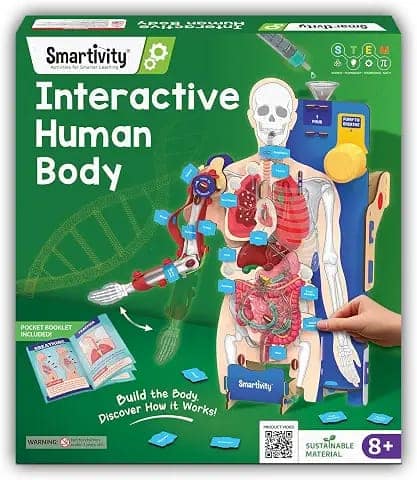 Smartivity Interactive Human Body Model for Kids 8-14 Years view 2