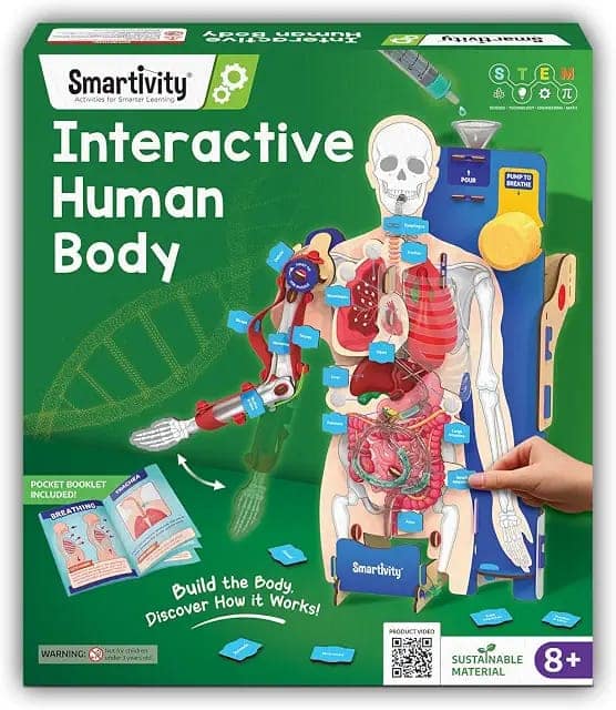 Smartivity Interactive Human Body Model for Kids 8-14 Years view 3