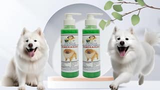 SWACCH Premium Shampoo for Pomeranian (200ML) (Pack of 2) NEEM ALOVERA