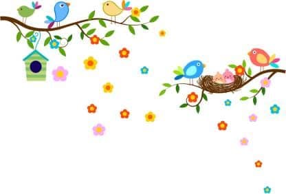 birds baby large-60-viws-0092