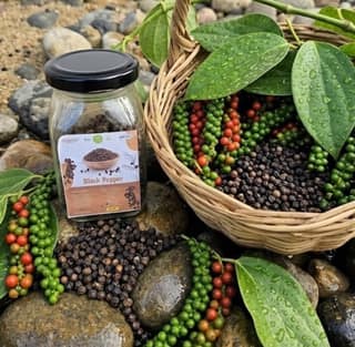 Wapung Farm Fresh Black Pepper 250g