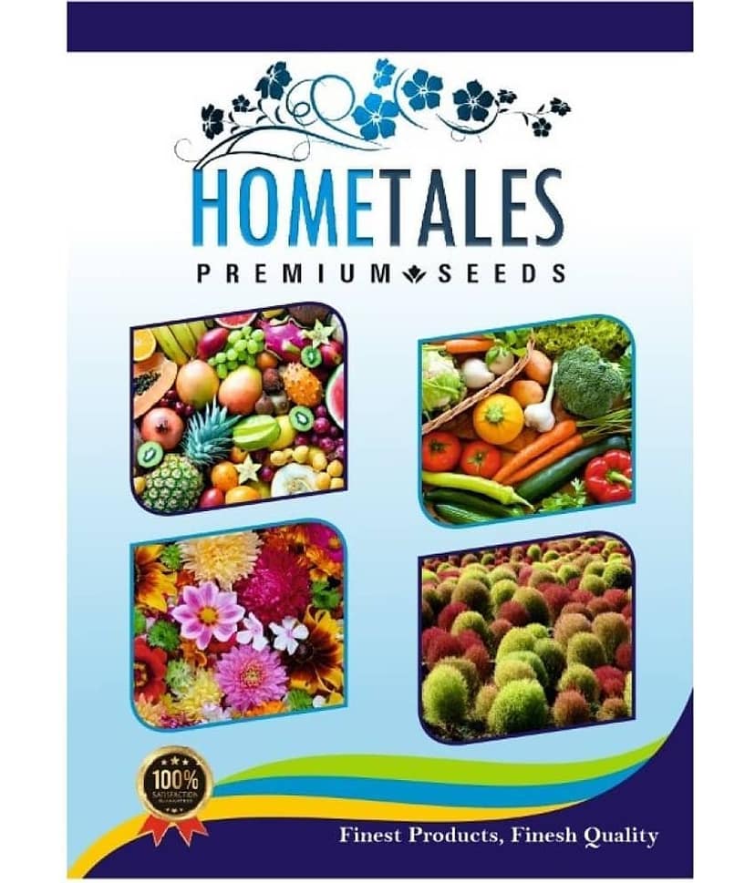 homeagro - Balsam Mixed Flower ( 25 Seeds ) view 2