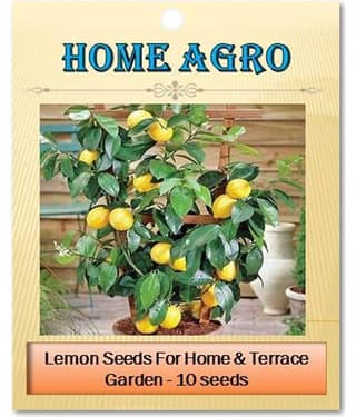 homeagro - Vegetable Seeds ( 10 seed )