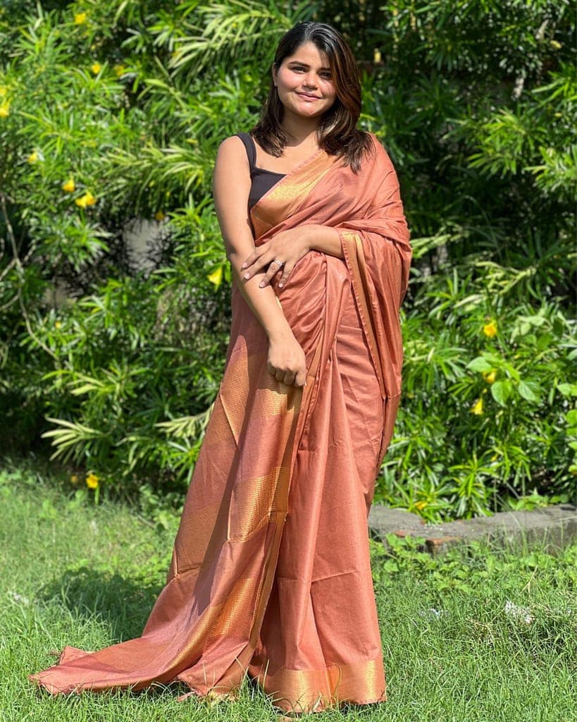 Handloom Jayashree Silk Saree Light Brown Color with Running Blouse-2701