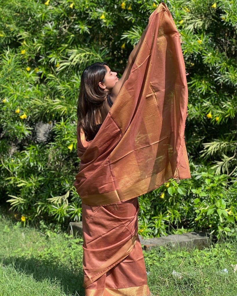 Handloom Jayashree Silk Saree Light Brown Color with Running Blouse-2701 view 3