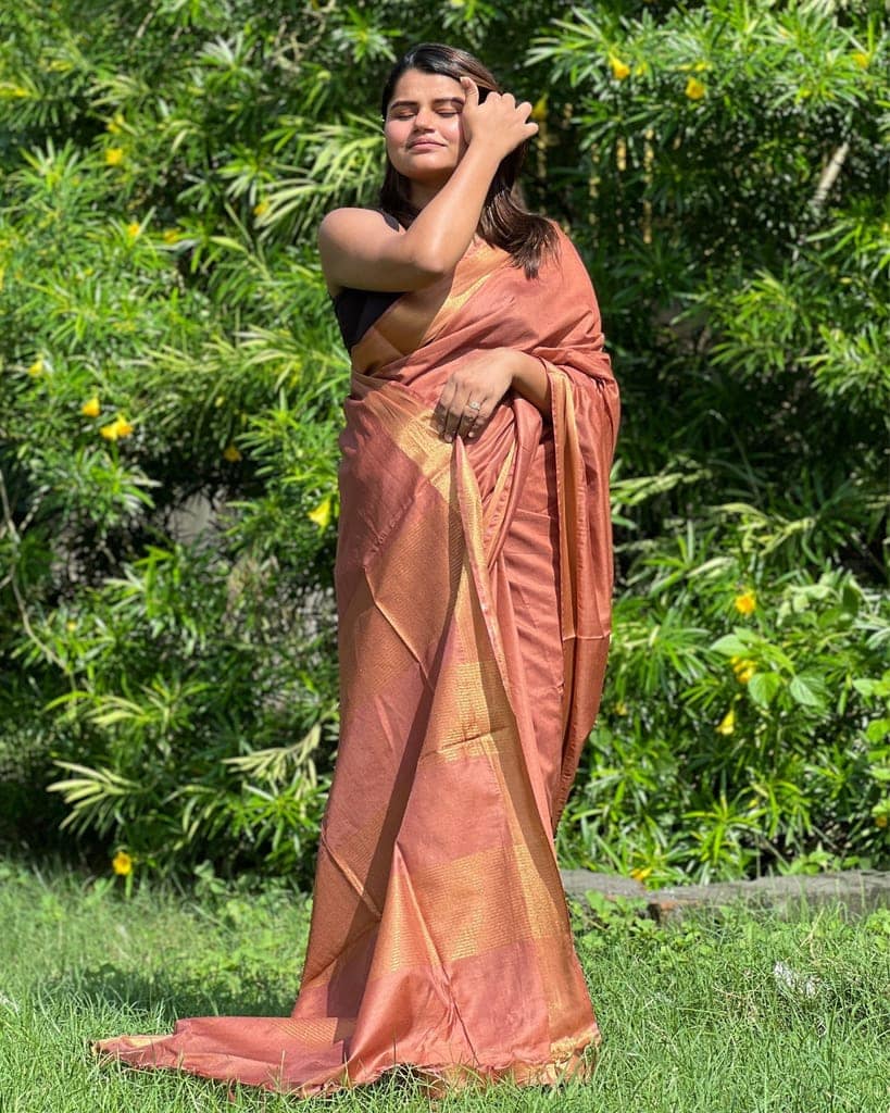 Handloom Jayashree Silk Saree Light Brown Color with Running Blouse-2701 view 4