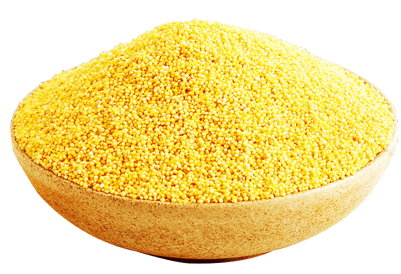 Foxtail Millet (Khaati Millet) Organic Gluten Free-1 Kg view 5