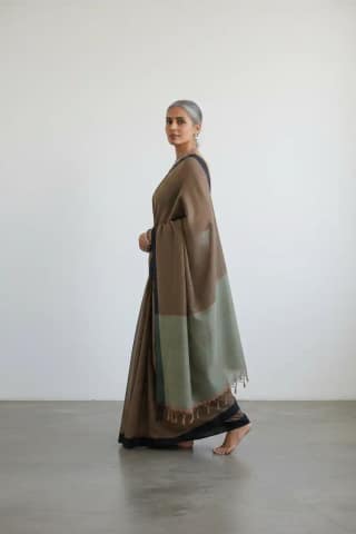 Handwoven Ilkal Cotton Saree in Taupe Brown with Sage Green Pallu
