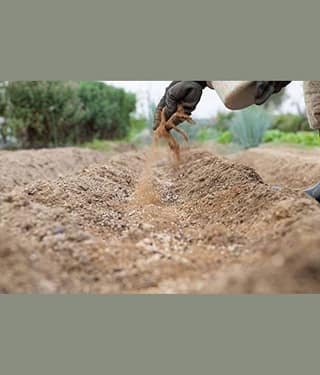 Bone Meal Powder Fertilizer for Plants - 1 Kg