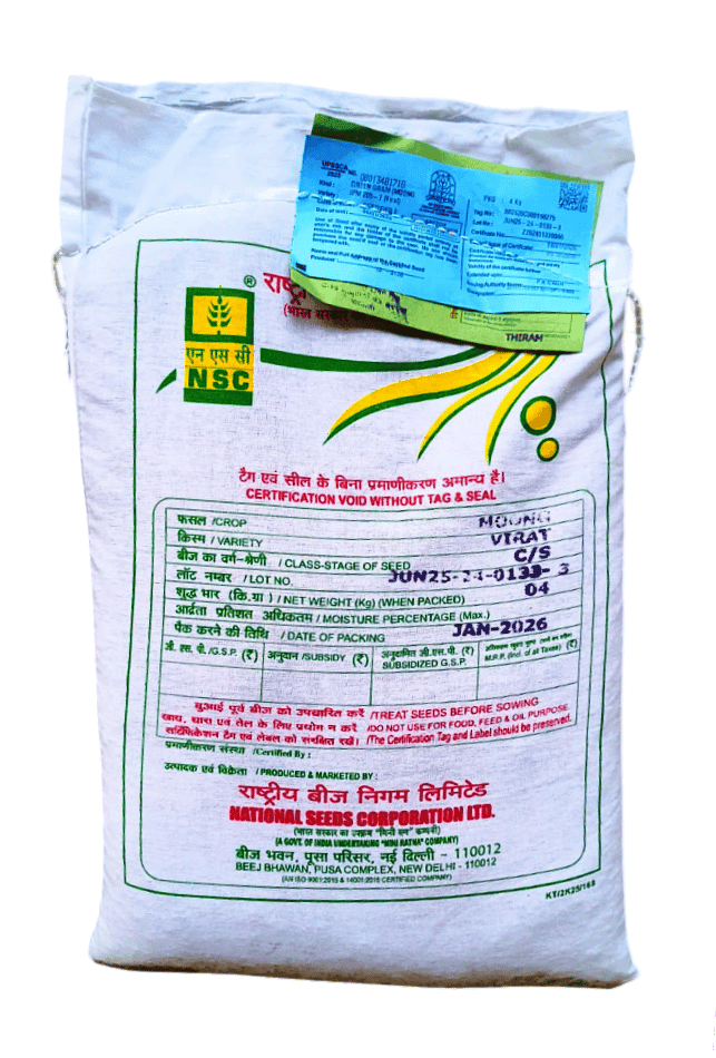 NSC Moong Variety- IPM 205-7 (Virat) view 2