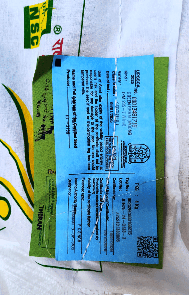 NSC Moong Variety- IPM 205-7 (Virat) view 3
