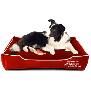 Captain Zack Dream Bedzz LXl 32In X 38In X 10.5In Red