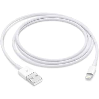 Apple Lightning to USB Cable