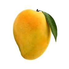 Mango 2pcs
