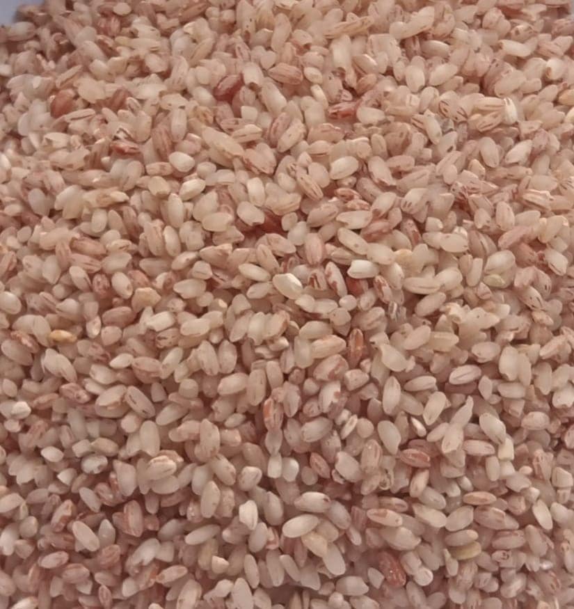 Kashmiri Organic Red Rice 1 Kg view 3