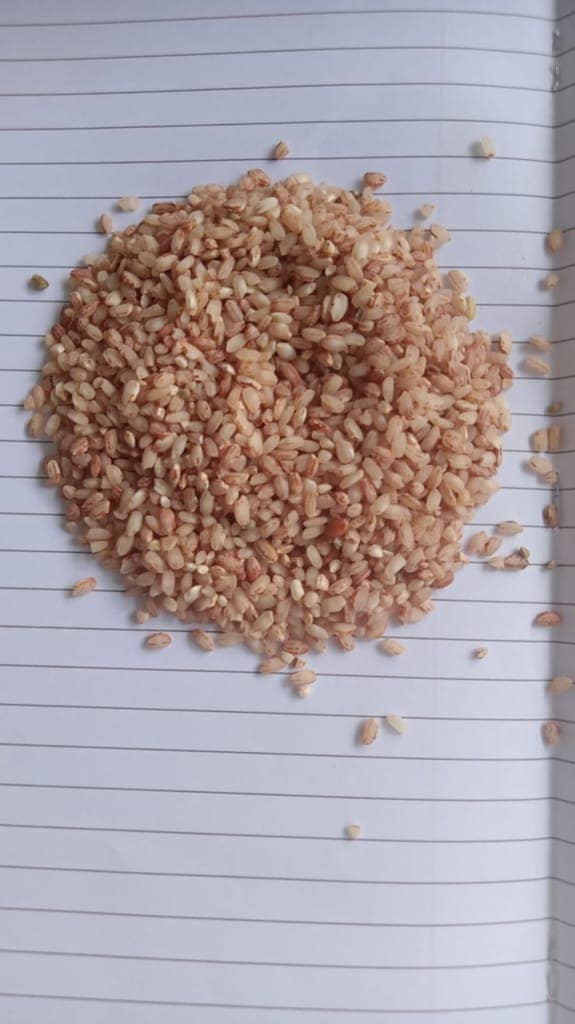 Kashmiri Organic Red Rice 1 Kg view 4