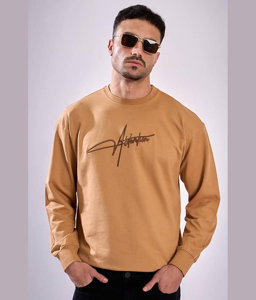 Bene Kleed Cotton Round Neck Men's Sweatshirt - Khaki ( Pack of 1 ) view 2