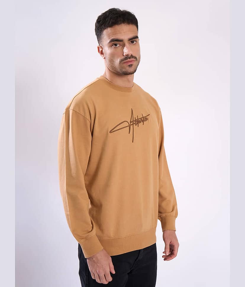 Bene Kleed Cotton Round Neck Men's Sweatshirt - Khaki ( Pack of 1 ) view 3