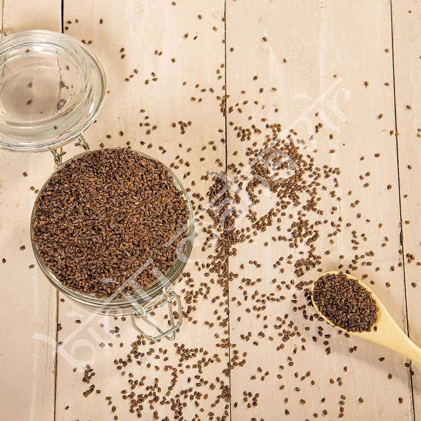 BrijBooti Talmakhana Seed - Astercantha Longifolia view 2
