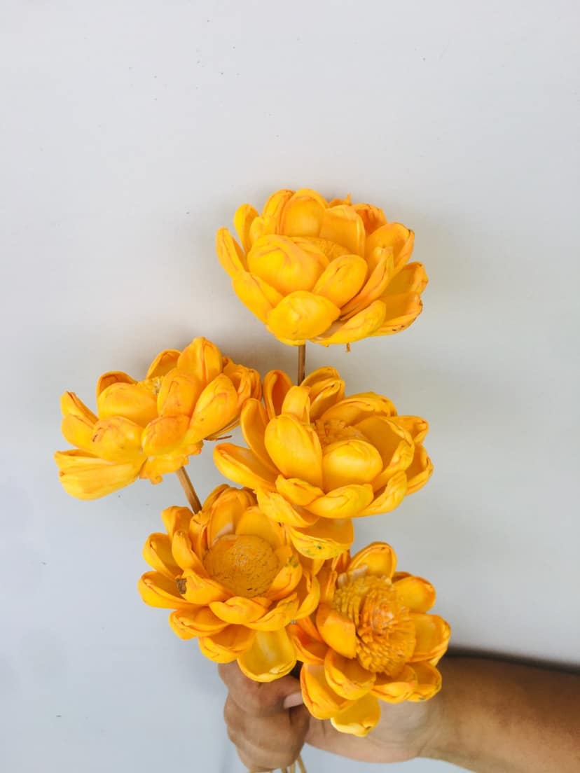 Marigold Yellow Sola Flower (5pcs)