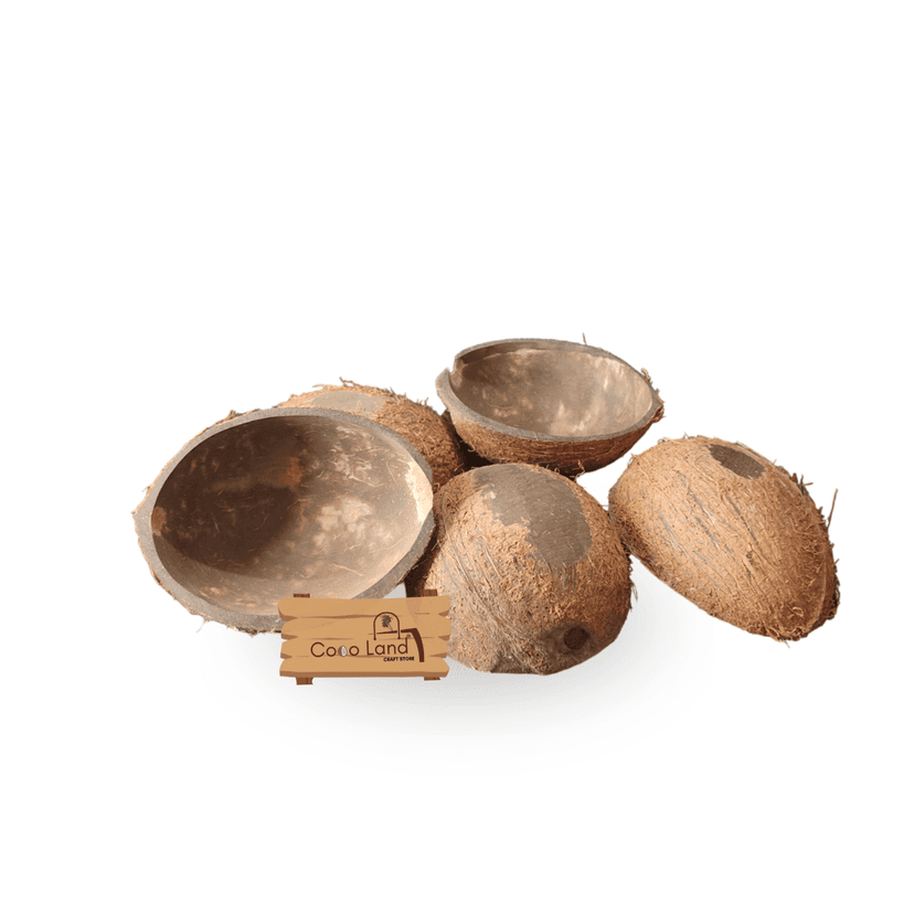 Coco Land Coconut Shell Natural Oval Pot (LARGE SIZE Pack of 30) 250 ml Decorative Pots/Showpieces/Candle Making Bowl /Handicraft/Agro Craft